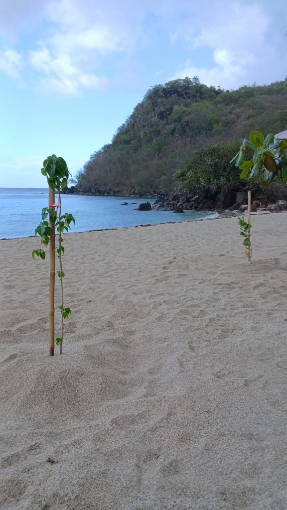 Tourisme écoresponsable en Martinique : Comment la Ville de Les Anses d&rsquo;Arlet protège-t-elle son littoral de carte postale en Outre-mer ?