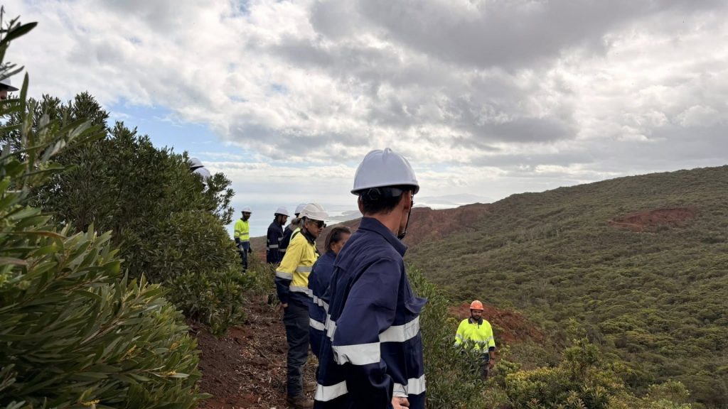 Tourisme vert en Nouvelle-Calédonie : Pourquoi le projet de reforestation de la Ville de Koumac révolutionne l&rsquo;éco-voyage en Outre-mer
