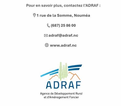 Comment investir et comprendre le foncier en Outre-mer : le guide de l&rsquo;ADRAF pour lancer vos projets avec le soutien de la Ville de Bourail en Nouvelle-Calédonie !