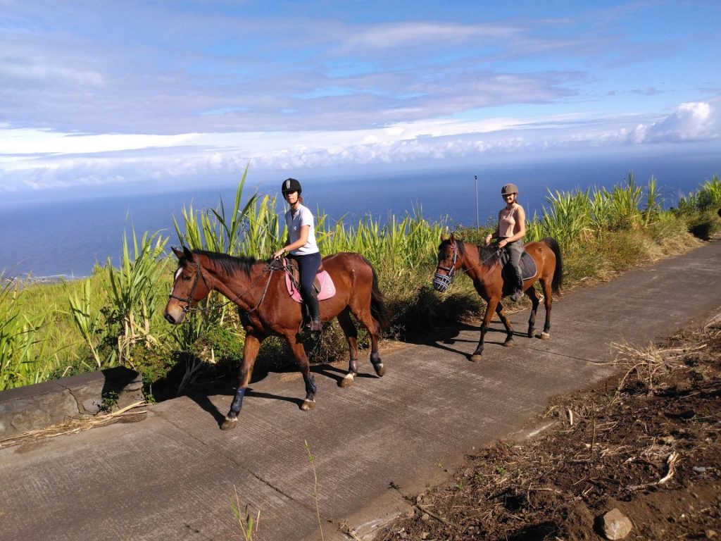 Où faire une balade à cheval inoubliable ? Évasion nature au Centre Équestre du Cap à La Réunion en Outre-mer