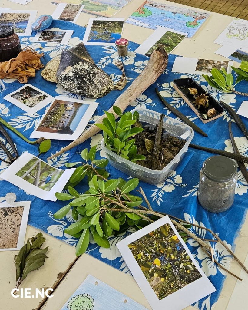 Écotourisme et Nature : Comment Préserver le Littoral grâce au Centre d&rsquo;initiation à l&rsquo;environnement en Nouvelle-Calédonie, en Outre-mer ?