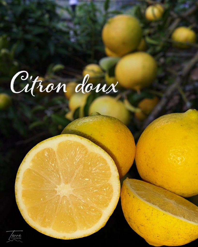 Comment découvrir les agrumes rares d&rsquo;Outre-mer sur la Terre de La Réunion à Salazie ?