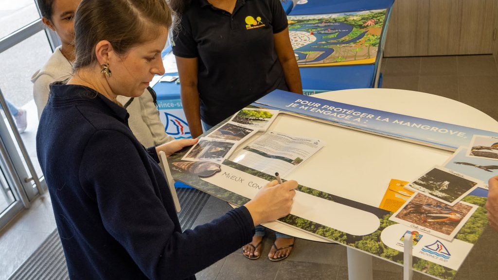 Comment explorer et protéger la mangrove en Nouvelle-Calédonie ? Le guide d&rsquo;une expérience écoresponsable en Outre-mer avec la province Sud et le Centre d&rsquo;initiation à l&rsquo;environnement NC