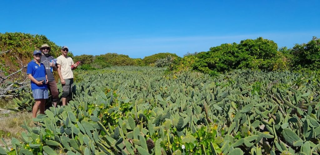 Comment l&rsquo;Agence néo-Calédonienne de la Biodiversité protège la nature d&rsquo;Outre-mer grâce à un expert australien