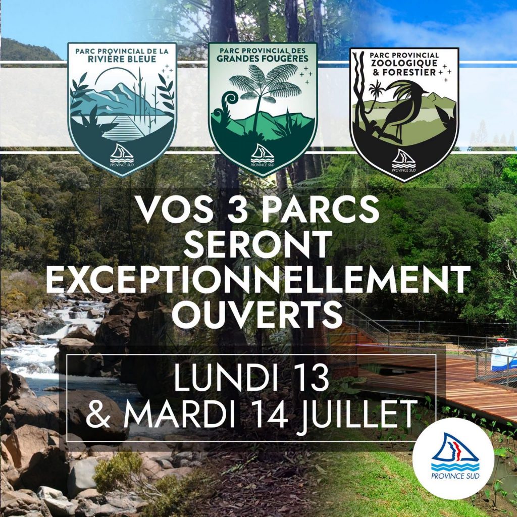 Comment profiter des ouvertures exceptionnelles du Parc Provincial des Grandes Fougères en Nouvelle-Calédonie, perle verte de l&rsquo;Outre-mer ?