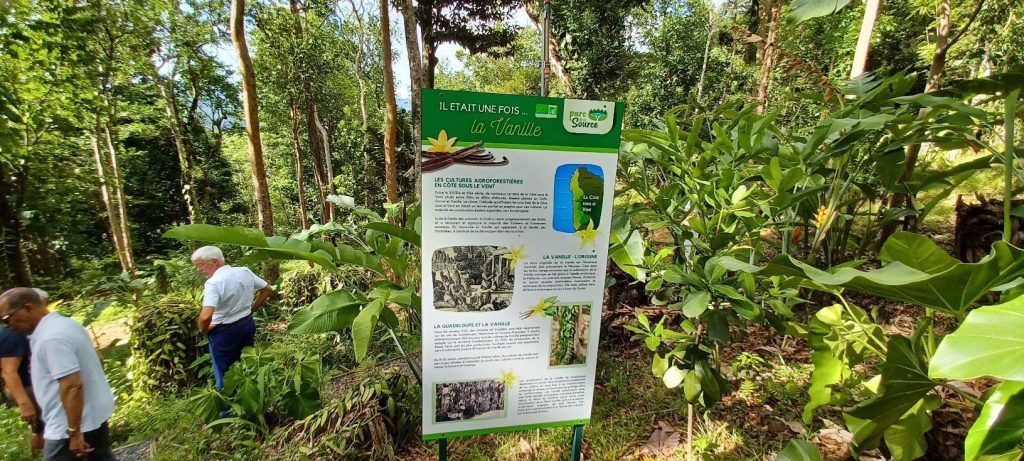 Comment visiter le parc de la Source à Bouillante, ce nouveau joyau agrotouristique à découvrir en Guadeloupe et en Outre-mer