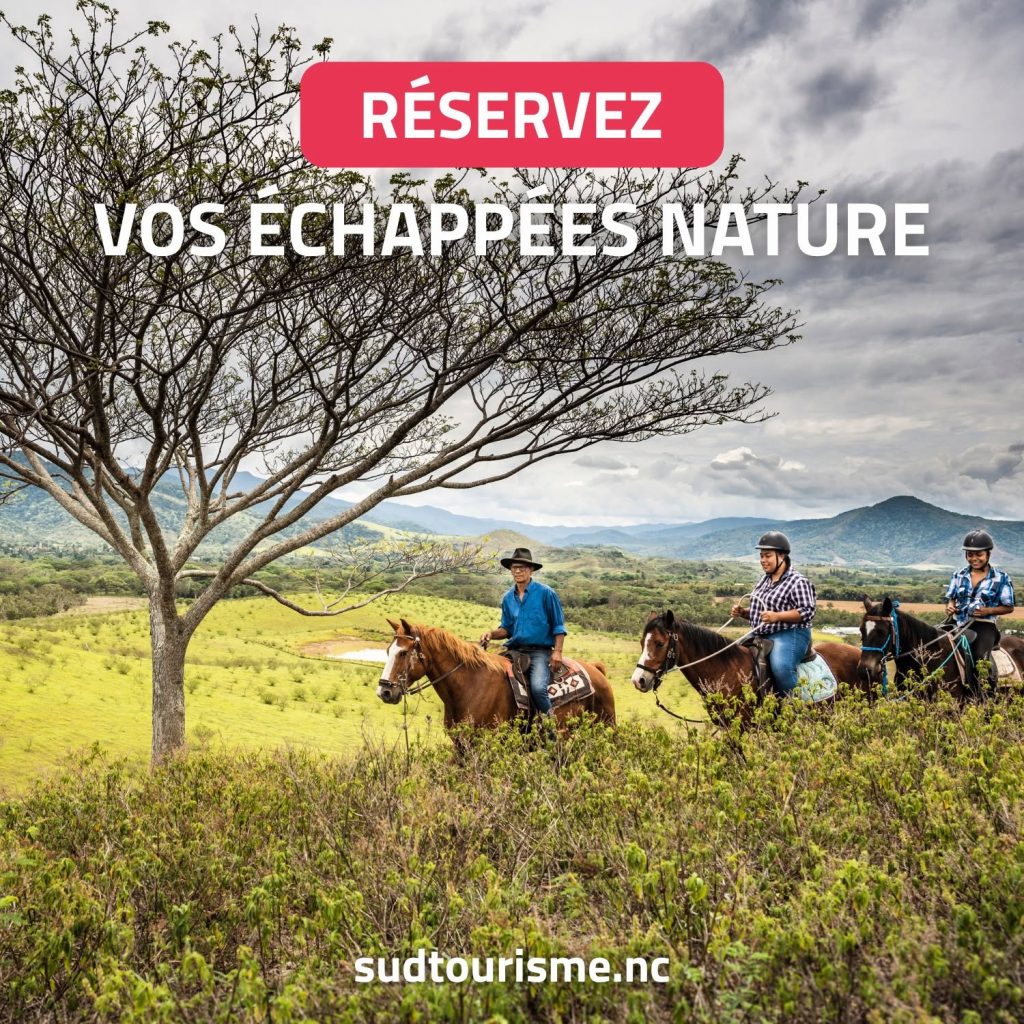 Où s&rsquo;évader en Outre-mer ? Découvrez l&rsquo;aventure avec Sud Tourisme Nouvelle-Calédonie !
