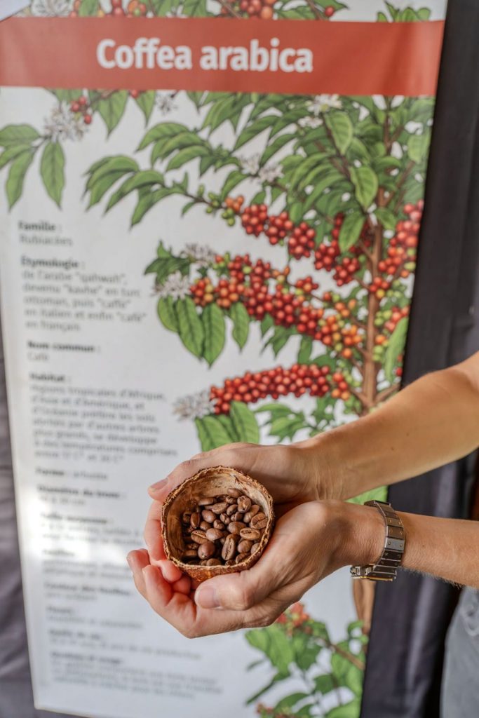 Tourisme gourmand à Nouméa : Découvrez les secrets du café lors d&rsquo;un atelier exclusif à Sainte-Marie en Nouvelle-Calédonie