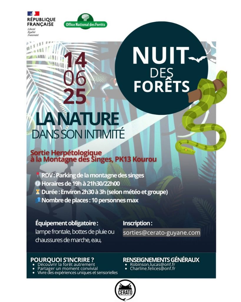 Où observer la faune nocturne en Amazonie ? Explorez la Montagne des Singes avec l&rsquo;Association Cerato et l’ONF Guyane, l&rsquo;expérience insolite en Outre-mer