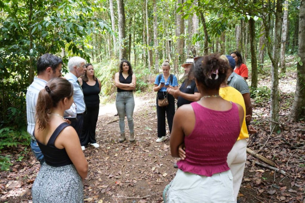 Comment visiter les plus belles plantations de vanille en Outre-mer ? L&rsquo;agroforesterie d&rsquo;excellence saluée par le Préfet de la Guadeloupe