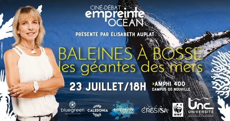 Comment observer les baleines à bosse en Outre-mer ? Ne manquez pas le ciné-débat exceptionnel avec l&rsquo;IRD – Nouvelle-Calédonie et Pacifique Sud