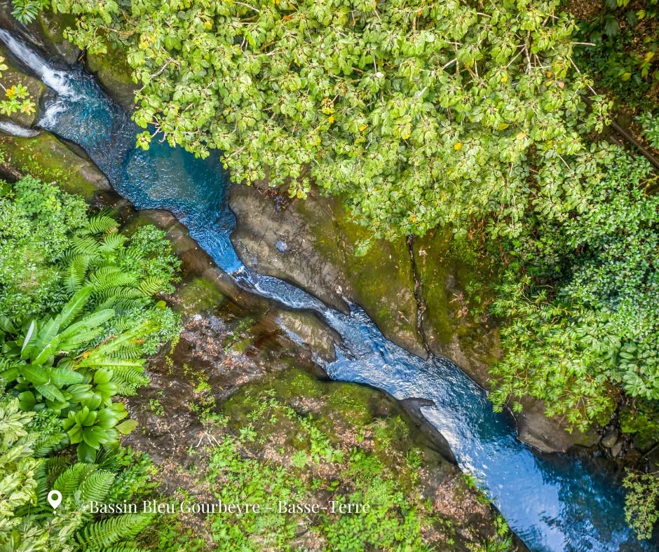 Où trouver les plus belles piscines naturelles en Guadeloupe ? Escapade féerique au Bassin Bleu depuis Le Jardin Malanga dans cet archipel d&rsquo;Outre-mer