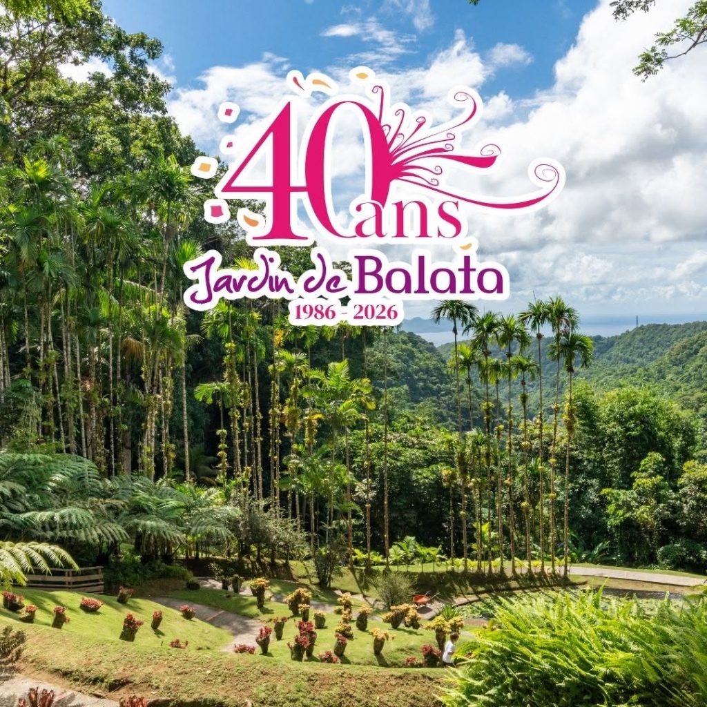 Où visiter en Martinique pour s&rsquo;émerveiller ? Célébrez les 40 ans du Jardin de Balata, le joyau botanique de l&rsquo;Outre-mer
