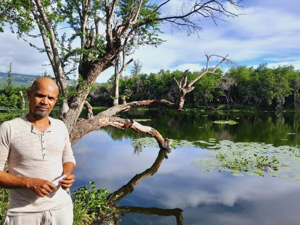Quelles activités insolites faire sur le littoral ? Peignez perchés dans les arbres avec Les médiathèques de Saint-Paul à La Réunion, la parenthèse perchée de l&rsquo;Outre-mer