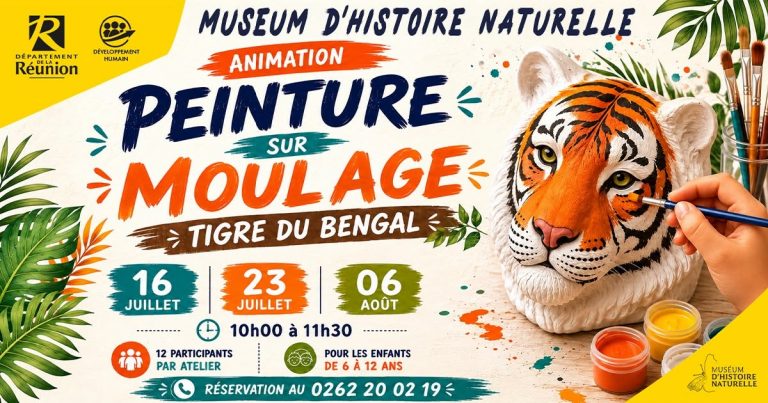 Que faire à Saint-Denis de La Réunion ? Participez aux ateliers vacances ludiques du Muséum d&rsquo;Histoire naturelle de La Réunion, l&rsquo;activité incontournable de cet été en Outre-mer !