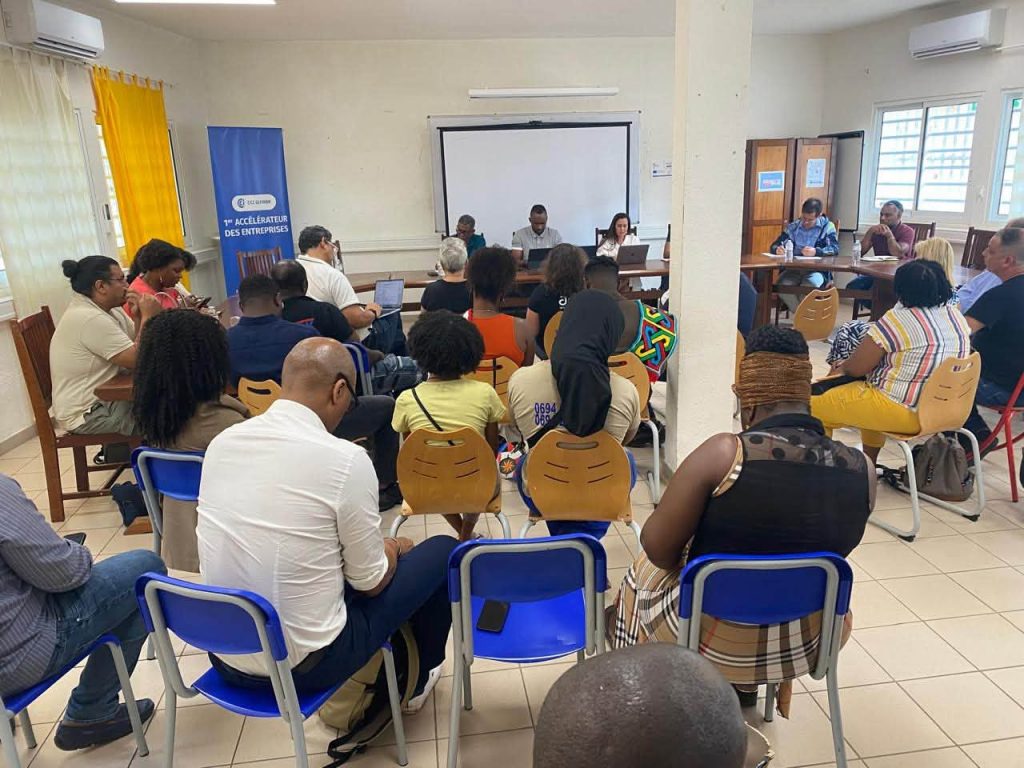 Investir et entreprendre en Outre-mer : Quels sont les grands projets économiques portés par la CCI de Région Guyane ?