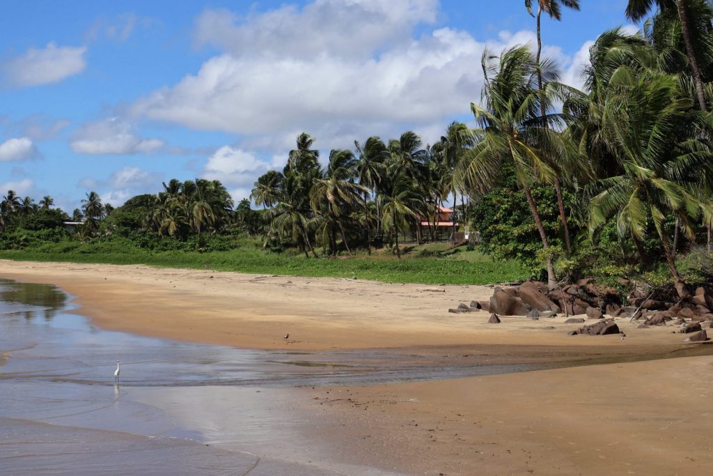 Quoi faire sur le littoral de la Ville de Cayenne en Guyane ? Le guide évasion en Outre-mer