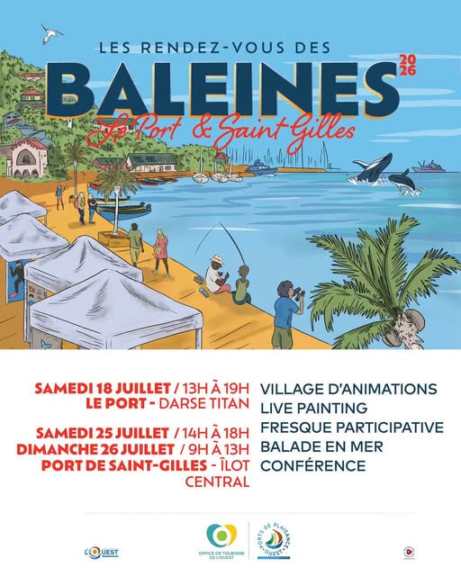 Où observer les cétacés de manière responsable ? Rencontre avec Globice Réunion lors du Rendez-vous des Baleines en Outre-mer