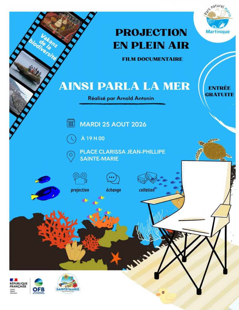 Quoi faire en Martinique ? Soirée cinéma sous les étoiles avec la Ville de Sainte-Marie, terre d&rsquo;Outre-mer