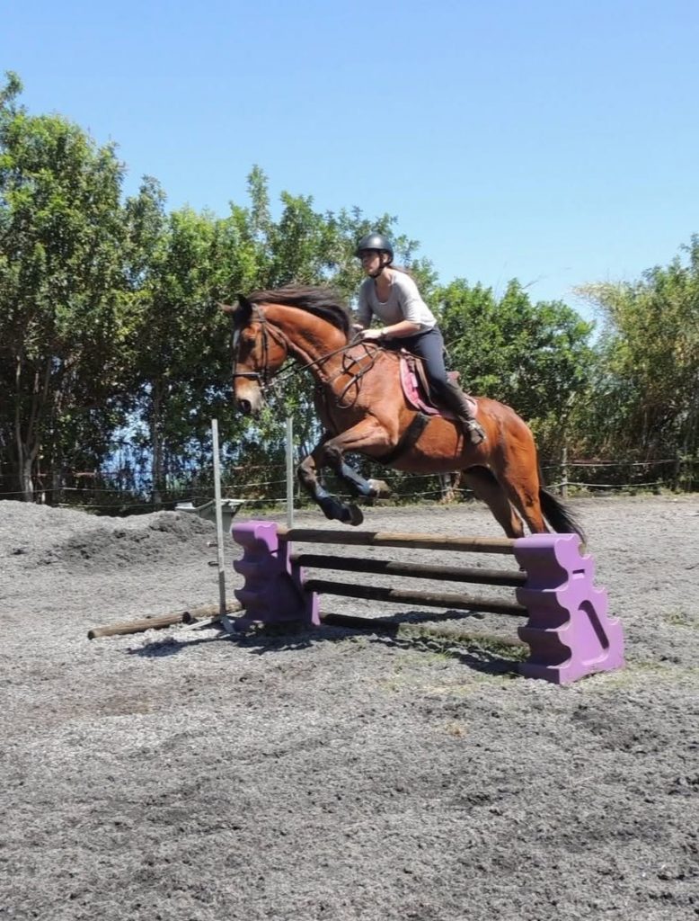 Comment Découvrir l&rsquo;Équitation aux Hauts de Saint-Leu à La Réunion : Offre Spéciale cet Été