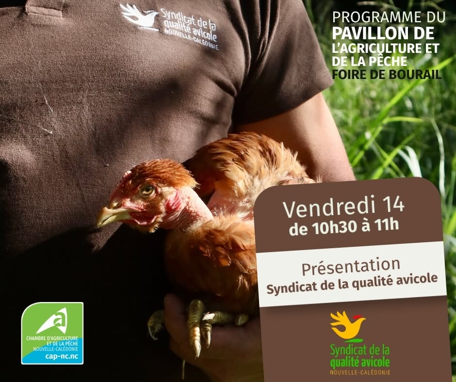 Comment Découvrir la Foire de Bourail et ses Traditions Agricoles en Nouvelle-Calédonie