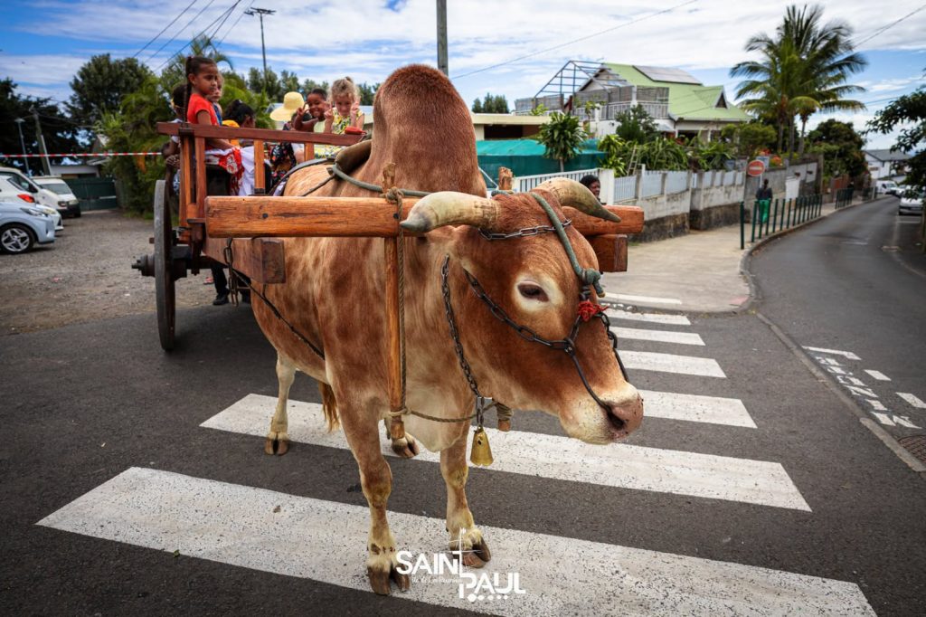 Comment Découvrir les Traditions Lontan à Saint-Paul : Immersion Intergénérationnelle à La Réunion