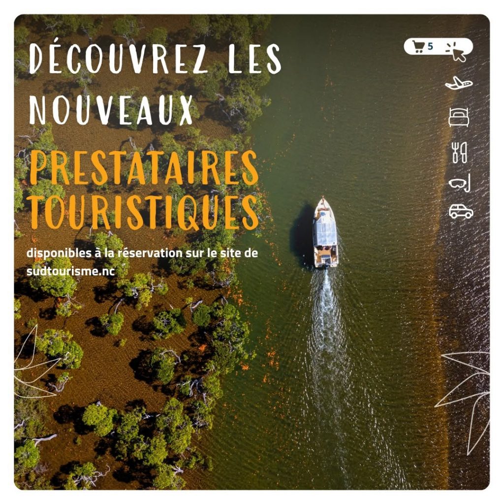 Comment Explorer la Province Sud en Nouvelle-Calédonie : Réservez Vos Activités Incontournables