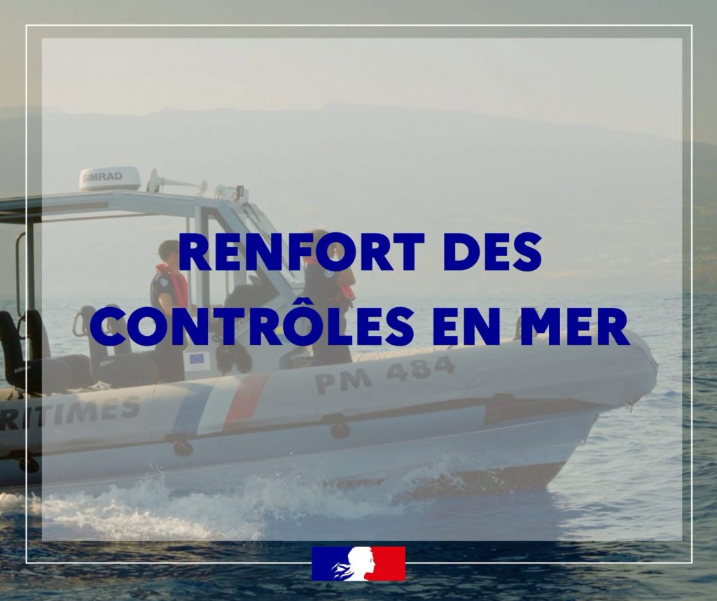 Tourisme Écoresponsable : Comment Observer les Baleines en Outre-mer sans Infraction selon le Préfet de La Réunion ?