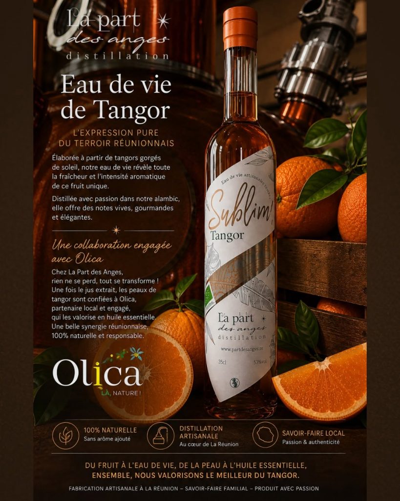 Comment découvrir l&rsquo;eau-de-vie de Tangor à La Réunion ? Plongée dans l&rsquo;artisanat d&rsquo;exception