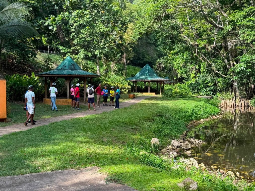 Comment explorer le Chemin Pavé de Grande-Ravine au Gosier en Guadeloupe ?