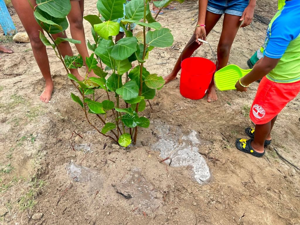 Comment participer au reboisement des plages avec la Ville De Sainte-Anne en Martinique en Outre-mer ?