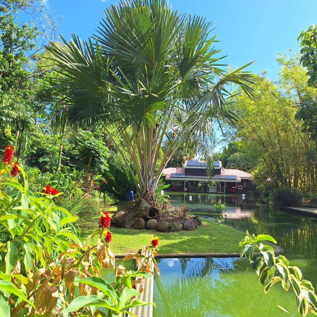 Comment passer une journée féerique au Jardin Botanique de Deshaies en Guadeloupe, la perle de l&rsquo;Outre-mer ?