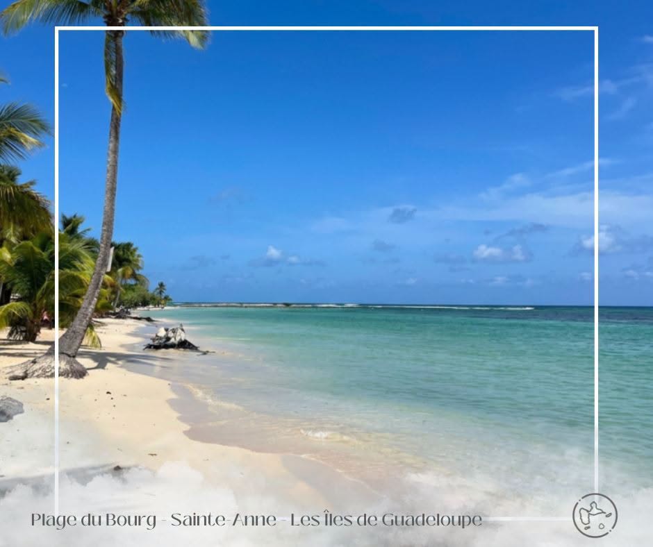 Comment profiter de la plage de Sainte-Anne en Guadeloupe, joyau incontournable d&rsquo;Outre-mer ?