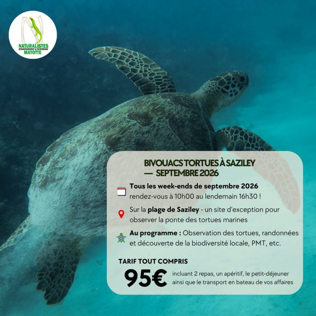 Comment vivre un bivouac inoubliable à Saziley avec les Naturalistes de Mayotte en Outre-mer ?