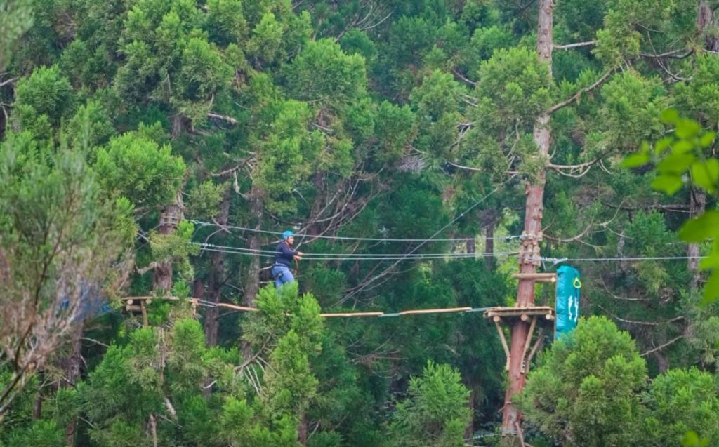 Comment vivre une aventure accrobranche inoubliable au Maïdo à La Réunion ?