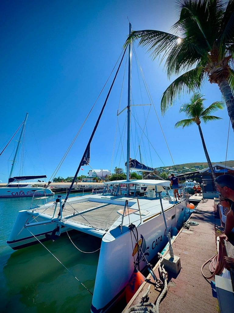 Comment vivre une croisière de rêve à La Réunion pour observer les dauphins et baleines en Outre-mer ?