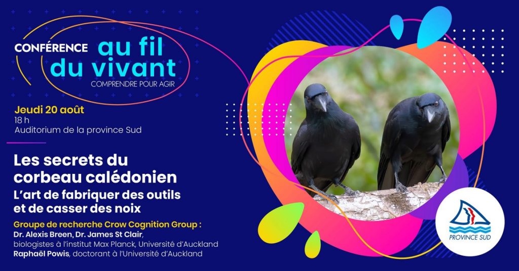 Où voyager en Outre-mer pour observer une faune exceptionnelle ? Conférence exclusive en Province Sud de Nouvelle-Calédonie