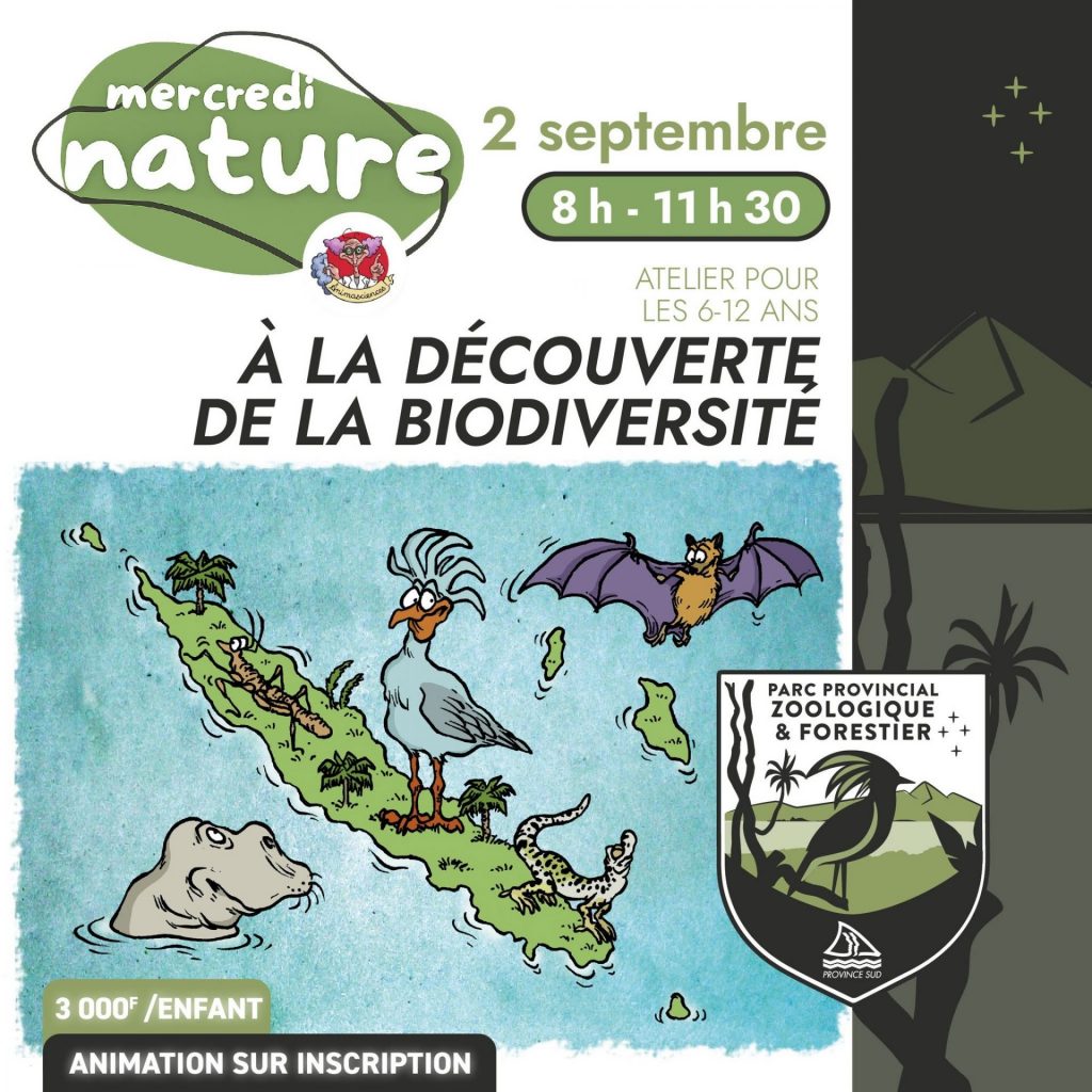 Activités pour enfants : Découvrez les Mercredis Nature de la Province Sud en Nouvelle-Calédonie en Outre-mer