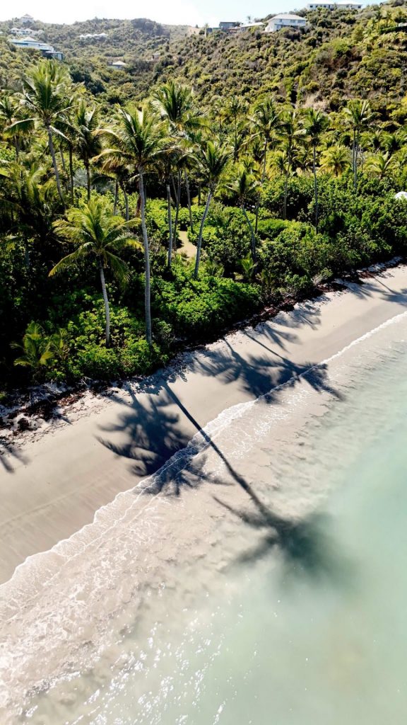 Découvrir la plage de Marigot à Saint-Barthélemy : Escapade féerique sous les cocotiers