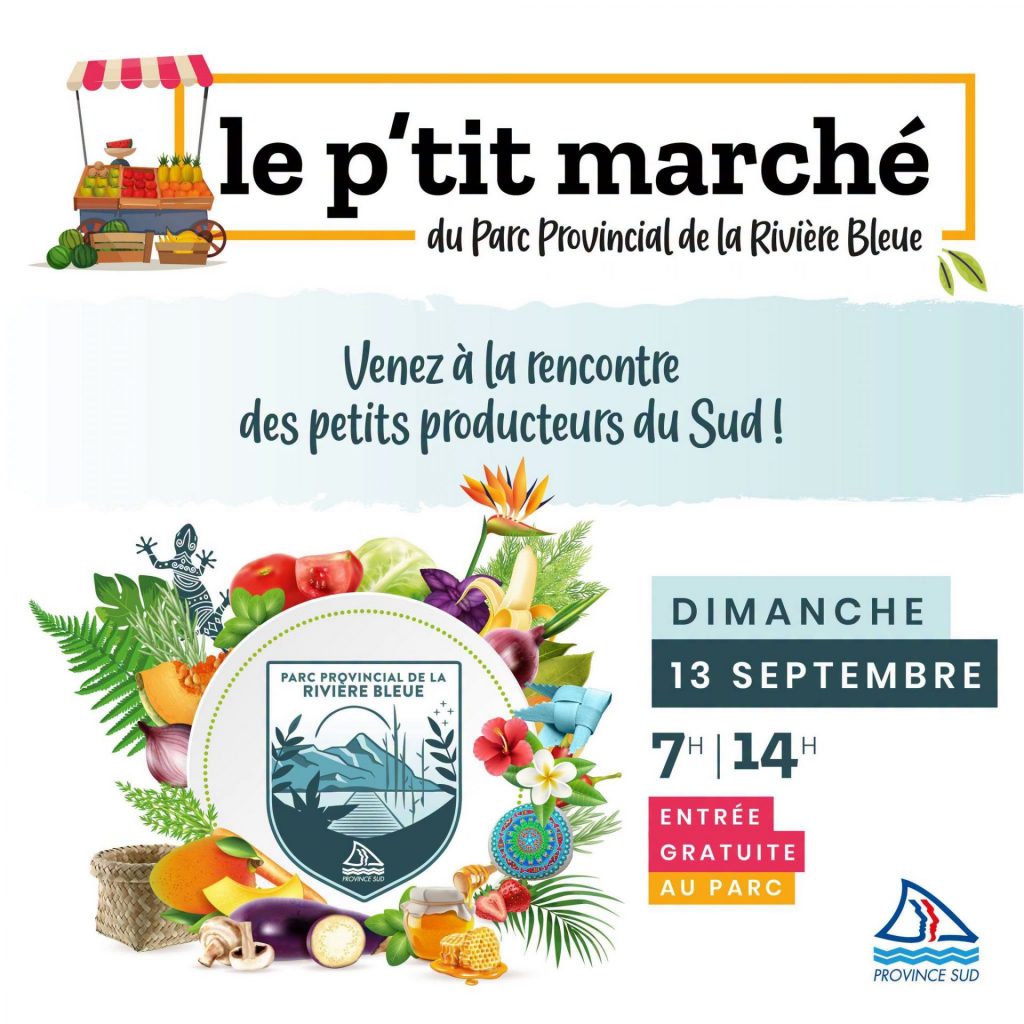 Où voyager en Outre-mer pour s&rsquo;émerveiller en pleine nature ? Direction le p&rsquo;tit marché du Parc Provincial de la Rivière Bleue en Nouvelle-Calédonie