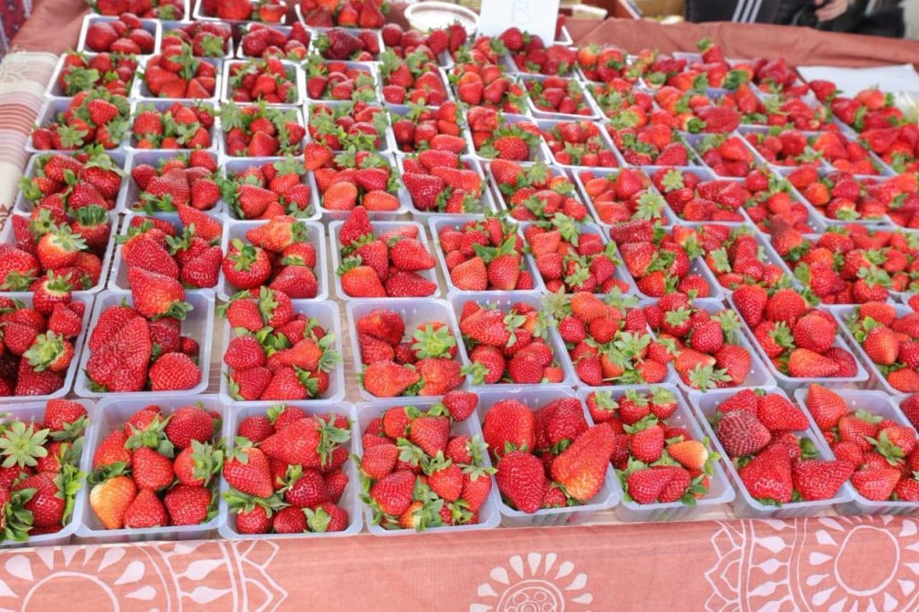Idées de sorties à La Réunion : Participez à la Fête de la Fraise 2026 avec la Ville de Saint-Pierre, symbole de gourmandise en Outre-mer !
