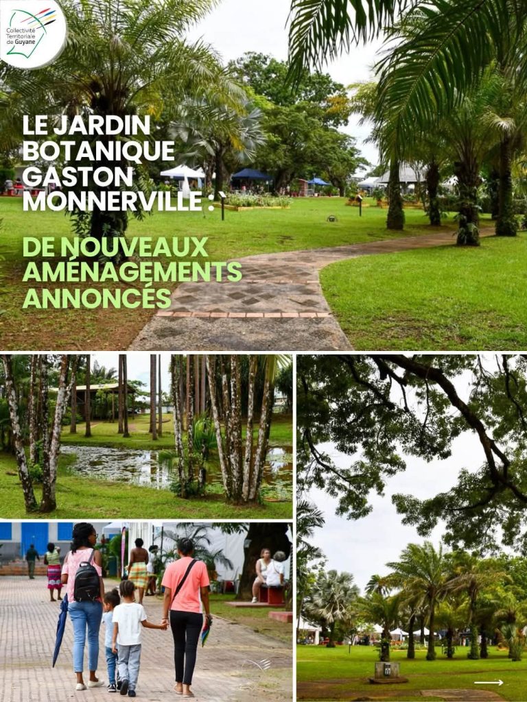 Comment Redécouvrir le Jardin Botanique de Cayenne : Les Nouveaux Aménagements au Cœur de la Guyane
