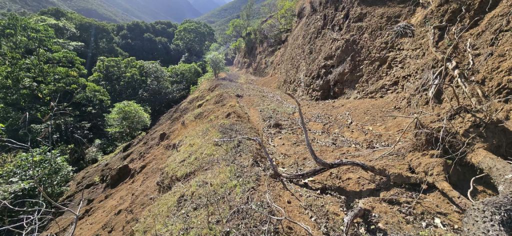 Où visiter en Nouvelle-Calédonie ? À la découverte de la Ville de Nékö-Poya et du charme sauvage de l&rsquo;Outre-mer