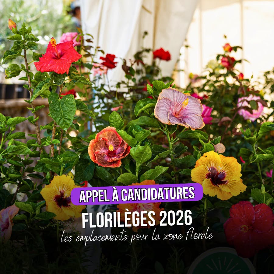 Que faire aux Florilèges 2026 : Plongez au cœur de la fête des fleurs du Tampon à La Réunion