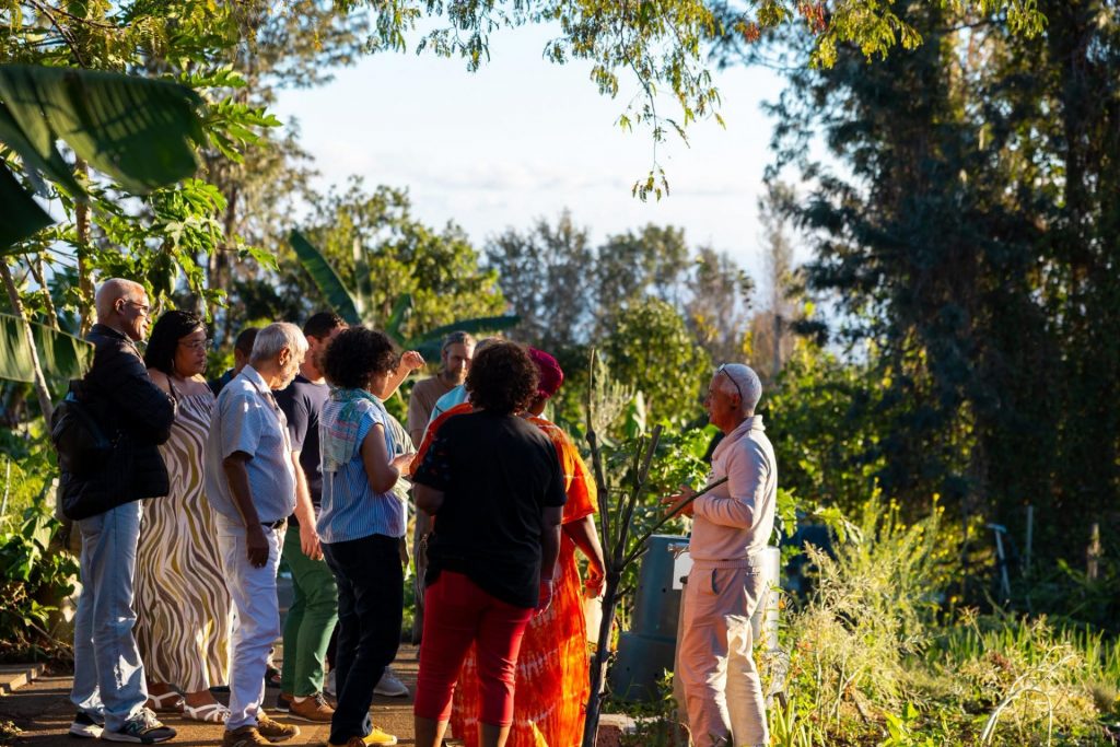 Que faire à La Réunion : découvrez les jardins partagés de la Ville du Tampon en Outre-mer !
