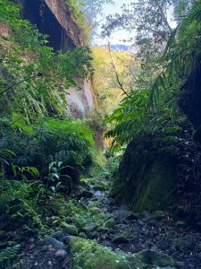 Quelle randonnée faire au Piton Maillot pour découvrir la magie du cirque de Salazie à La Réunion en Outre-mer ?