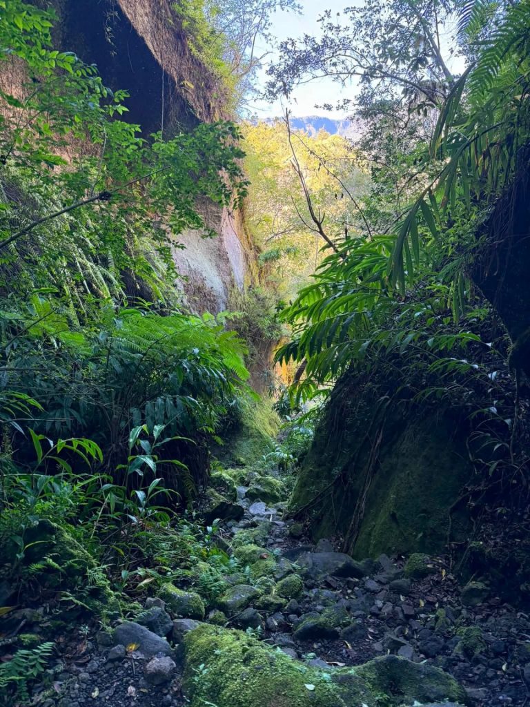 Quelle randonnée faire au Piton Maillot pour découvrir la magie du cirque de Salazie à La Réunion en Outre-mer ?