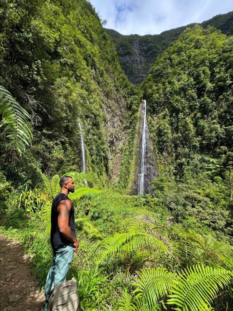 Quoi faire à La Réunion : rando et immersion en forêt à Grand-Étang en Outre-mer