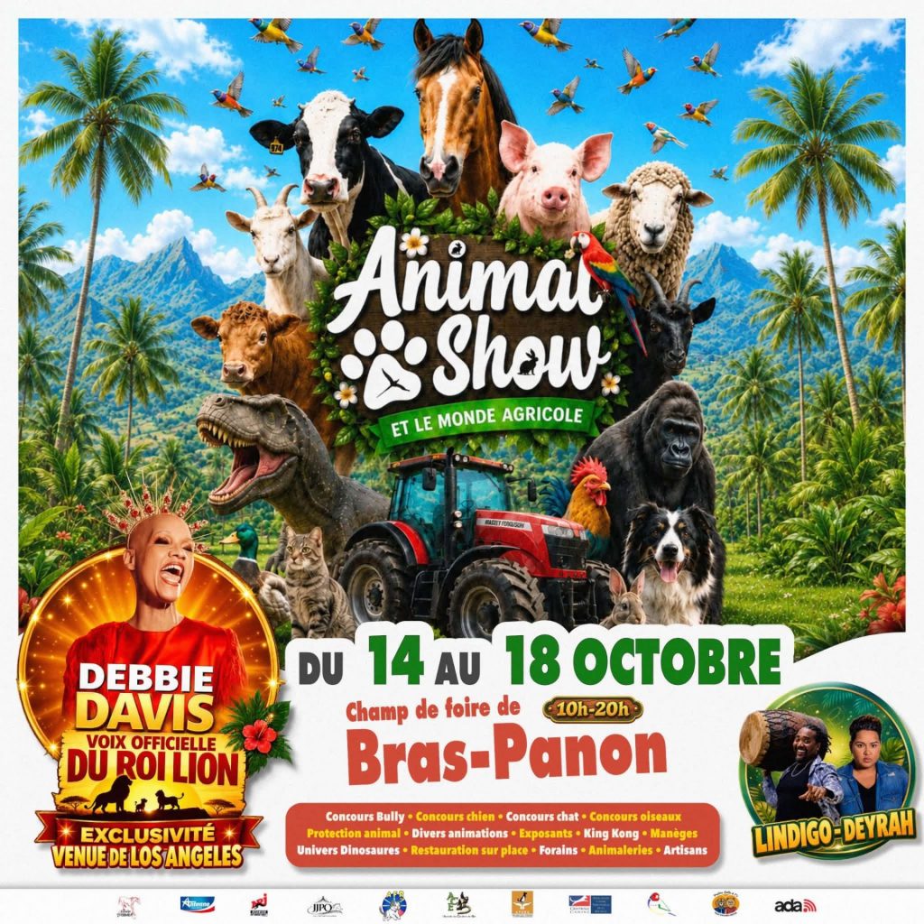 Quoi faire en famille à La Réunion ? Découvrez le « Ti concours zoizeau » du Club des Estrildidés de la Réunion en Outre-mer !
