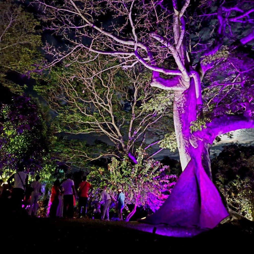 Balades contées au Jardin Botanique de Deshaies : Une aventure nocturne enchantée en Guadeloupe